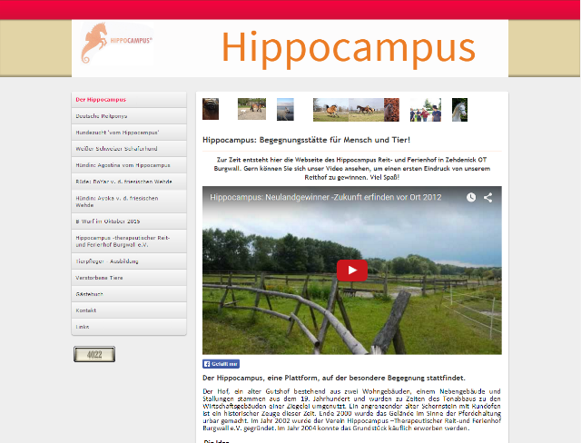 hippocampus-reithof.png