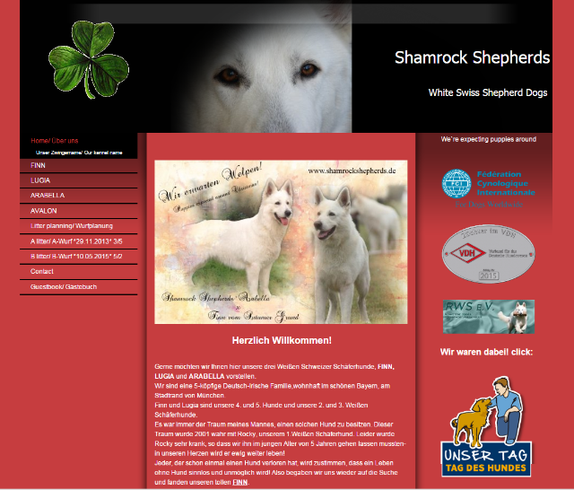 shamrockshepherds.png